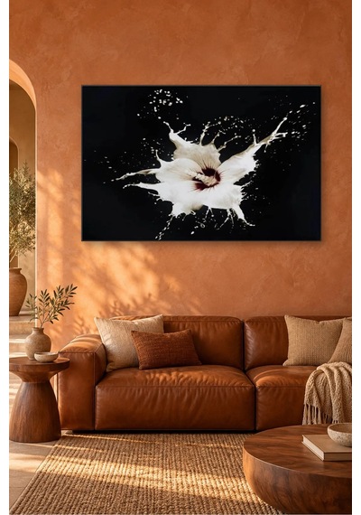 Fida Siyah Fonda Beyaz Sıçrama Canvas Tablo