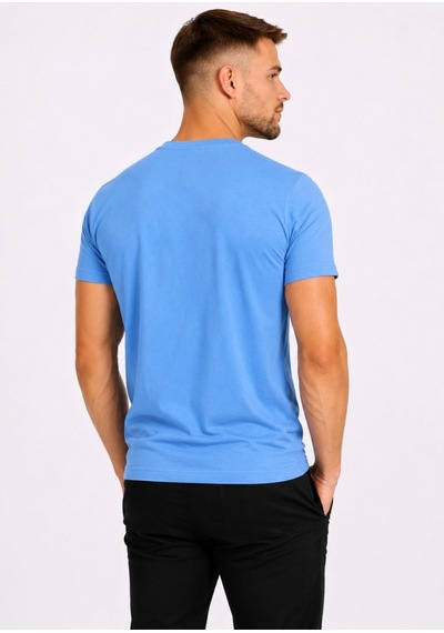 Axxel Erkek Mavi Pamuklu V Yaka Kısa Kollu T-shirt-d804