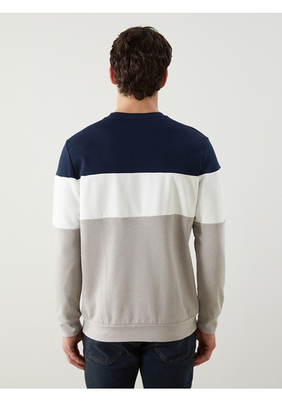 Lcwaıkıkı Classic Bej Bisiklet Yaka Uzun Kollu Renk Bloklu Erkek Sweatshirt