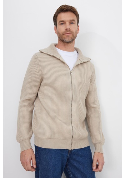 Tudors Erkek Slim Fit Dik Yaka Fermuarlı Vizon Düz Hırka-41800 Vizon