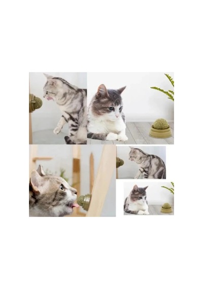 Herşeytrend Kedi Nanesi Oyun Topu