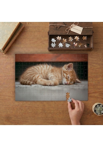 Uyuyan Sevimli Yavru Kedi Tasarımı 240 Parça Ahşap Puzzle Ahşap Kutuda Mpy20439