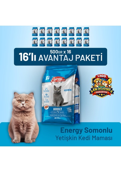 Somonlu Yetişkin Kedi Maması - 16 Adet