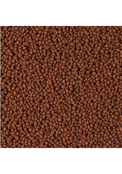 100 Gram Tropical Cichlid Carnivore Medium Pellet Büyük Granül Ba