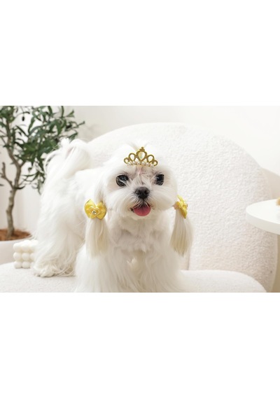 Glam Köpekler İçin Aksesuar Toka Sarı Çok Renkli