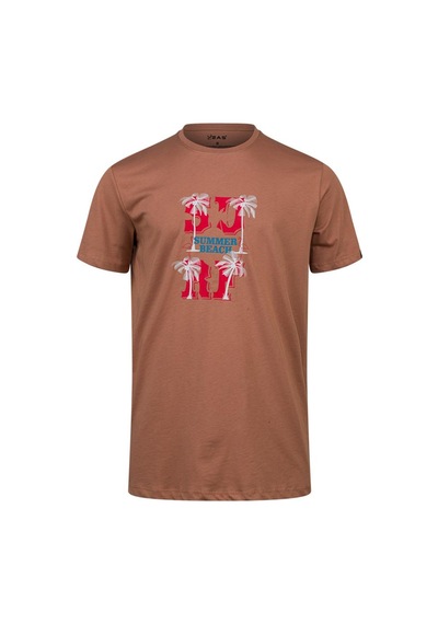 2as Alex Baskılı Erkek Sıfır Yaka T-shirt 047 Kahve