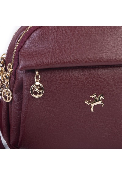 Nas Bag Kadın Çok Gözlü El Omuz Ve Çapraz Çantası 25x20 Cm Bordo Victoria