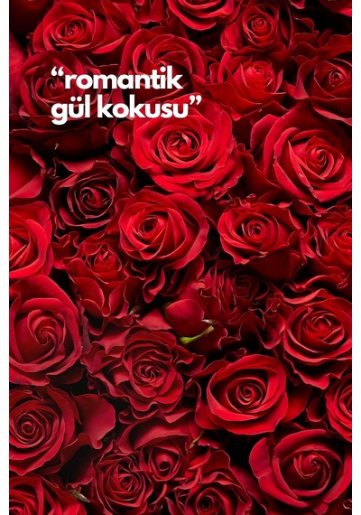 Nature's Scents Rose- Gül Oda Kokusu Yedek Makine Spreyi 250 Ml Diğer