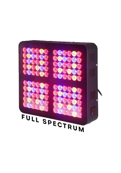 Ecosun 600W Led Lamba