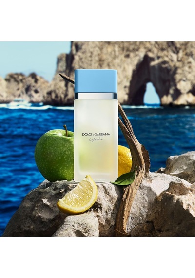 Dolce&gabbana Light Blue 100ml Edt Refillable Parfüm Kadın Diğer