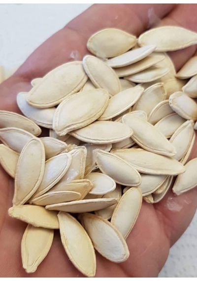 AGRodal Tarım Doğal Çerezlik Kabak Çekirdeği Ürgüp Hanım Tırnağı Tohumu 20 Ad