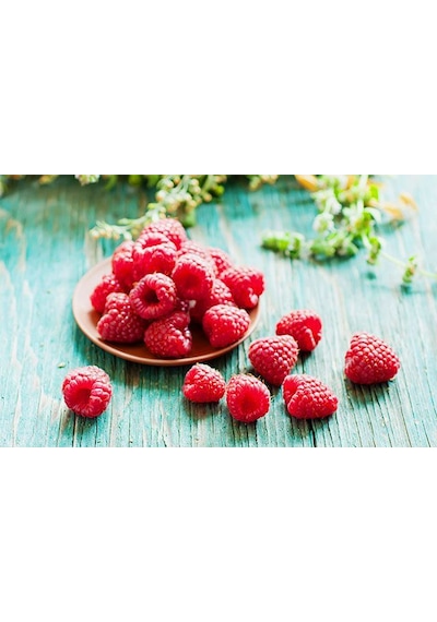 Bahçevilya 2 Adet Ahududu Fidanı Rubus İdaeus