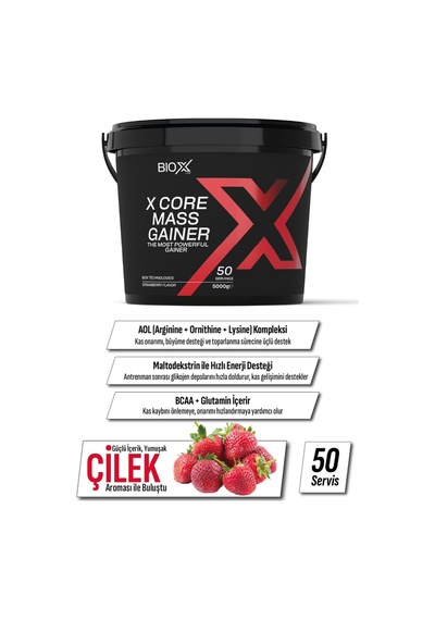 Mass Gainer Çilek Aromalı 5 Kg Karbonhidrat Tozu + Shaker