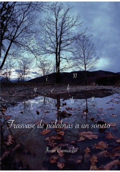 Trasvase De Palabras A Un Soneto Spanish Edition