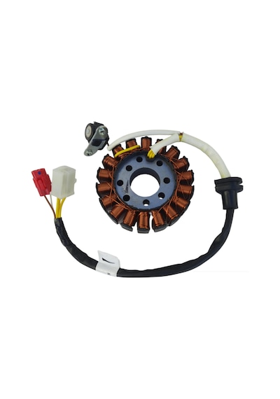 Tvs Apache Rtr 200 Statör E5 18 Li 29-93-27 Mm 5 Kablo