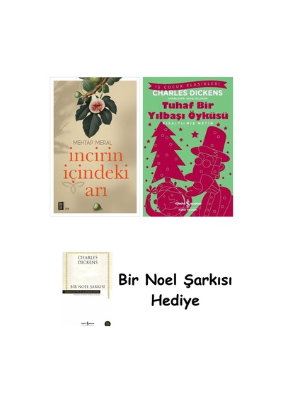 İncirin İçindeki Arı + Tuhaf Bir Yılbaşı Öyküsü + Bir Noel Şarkısı