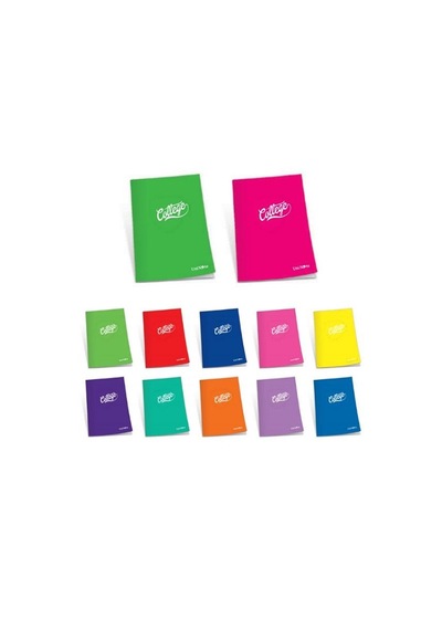 Çınar College A4 80 Yp Kareli Pp Kapak Dikişli Defter 76005- 9 Adet Çeşitli Renk Ve Desen