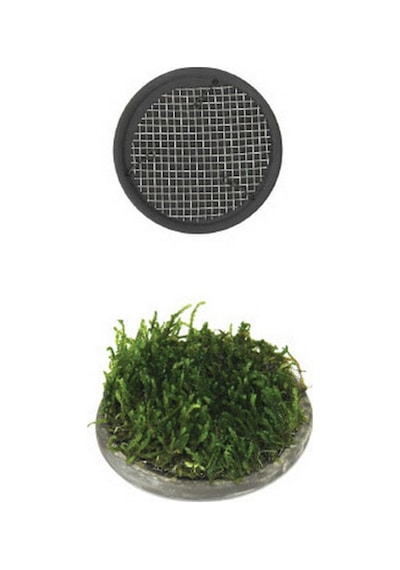 Cosmotex 4719856838670 Ista Bitki Taban Seramik 5 Cm Yuvarlak