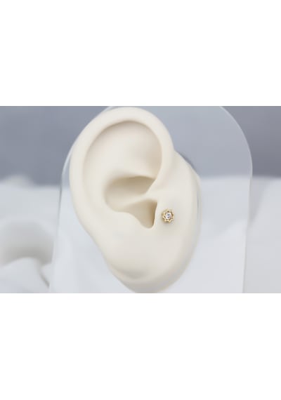 Glorria Altın Yıldız Tragus Piercing 03713395