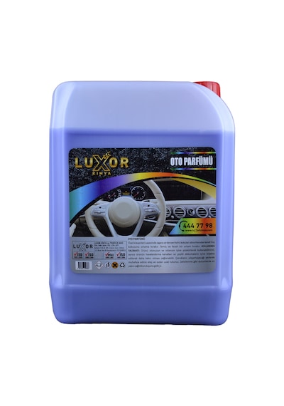 Luxor Kimya Böğürtlen Sakız Oto Kokusu 5 L