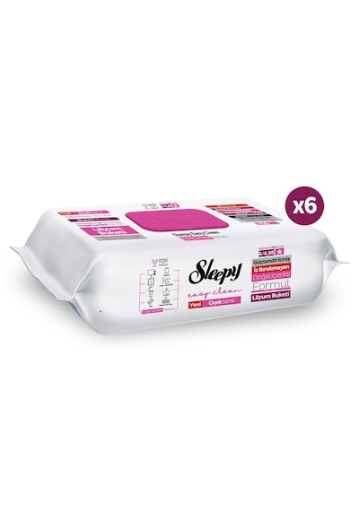 Sleepy Easy Clean Lilyum Buketi Yüzey Temizlik Havlusu Mendili 6x100 (600 Yaprak)