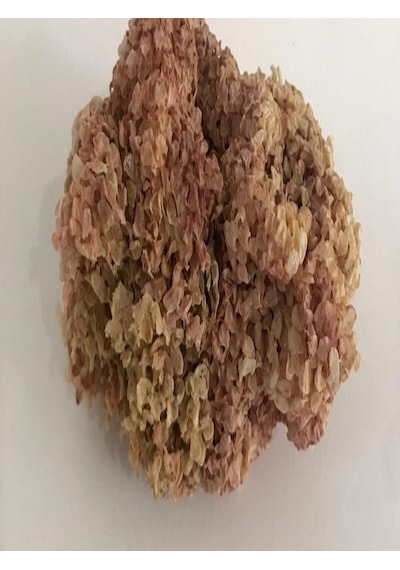 Heybeli Aktar Baharat Yerli Deniz Kadayıfı 100 G