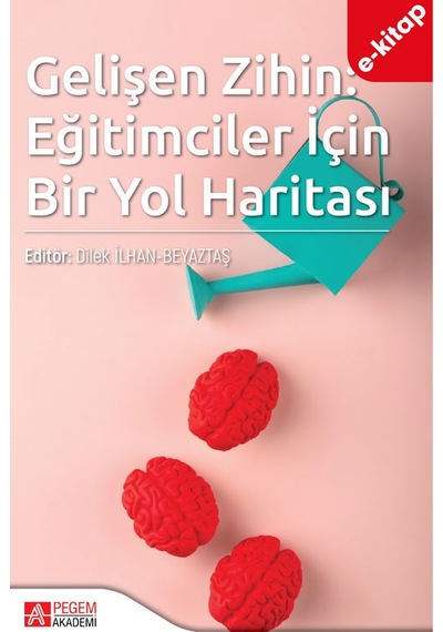 Gelişen Zihin: Eğitimciler İçin Bir Yol Haritası E-kitap