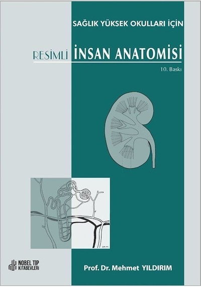 Resimli İnsan Anatomisi- Nobel Tıp Kitabevleri