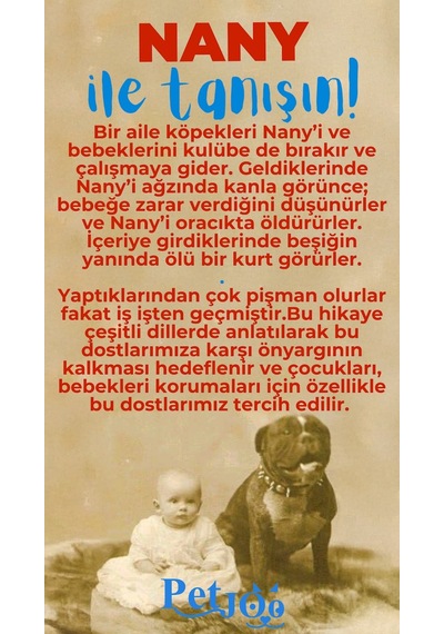 Petjoo 17.Nany Mavi-Kırmızı Qr'lı Köpek Künyesi
