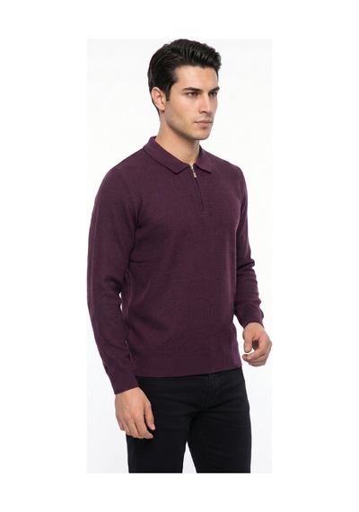 Foterman Erkek Spor Polo Yaka Mevsimlik Kazak Bgl-st05443 Mürdüm