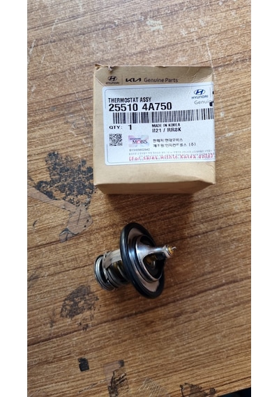 H100 12- Bongo 11- Termostat 255104a750