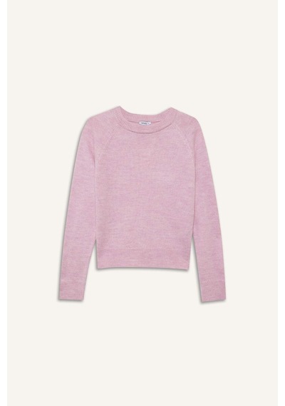 Defacto Regular Fit Bisiklet Yaka Basic Düz Soft Touch Yumuşak Triko Kazak D8678ax26sppn354 Pembe-pn354