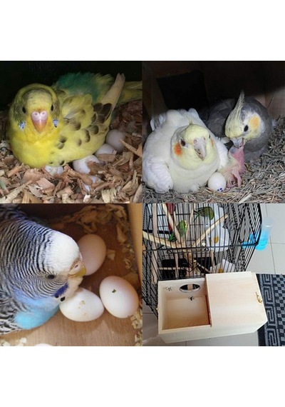 Pet Ahşap Muhabbet Kuşu Yuva Kutusu Kuş Evi Üreme Yuvalama Kuş Kafesi Kutusu Muhabbet Kuşları İçin Papağan Papağanlar