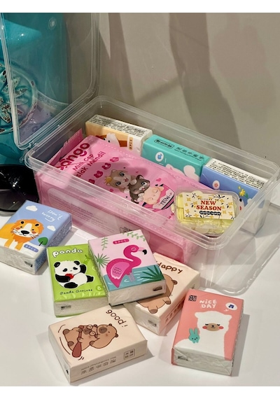 Pratik Hijyen Seti-9 Paket Kağıt Mendil - 8 Paket Mini Islak Mendil - Sihirli Sabun + Saklama Kabı