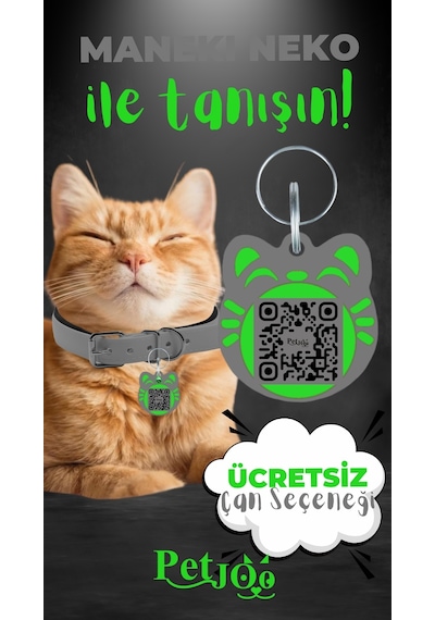 Petjoo 4.Maneki Neko Yeşil-Gri Qr'lı Kedi Künyesi