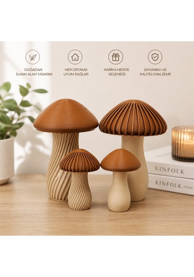Modern Dekoratif Mantar Biblo Seti 4 Lü Minimalist Ev Dekoru Ahşap Görünümlü Şık Tasarım 100x40mm