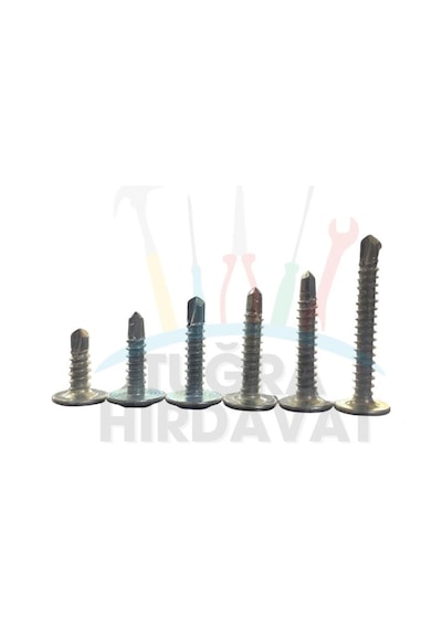 Rysb 4,2x22 Mm 100 Adet Beyaz Pul Başlı Matkap Uçlu Vida Otomatik Vida