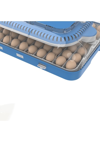Altın Kuluçka 70 Lik Kuluçka Makinesi