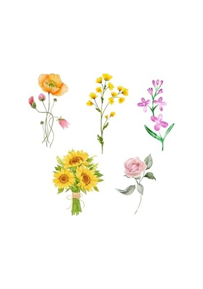 Karışık 210 Çeşit Çiçek Sticker Seti 10 Sayfa Abanoz