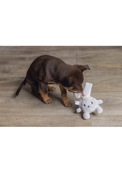Hnrlıshp Beeztees Yavru Köpek Oyuncağı, Tavşan, Peluş, Gri, 15x9x4cm