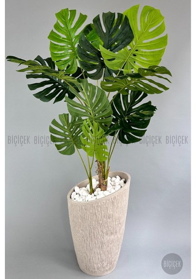 Yapay Monstera Ağacı Deve Tabani 190 Cm Krem Datça Saksıda