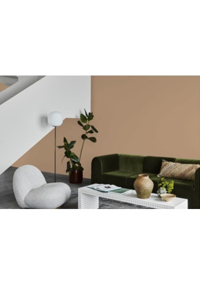 Jotun Peachy 12074 Fenomastic Güzel Evim Serisi Zengin Mat