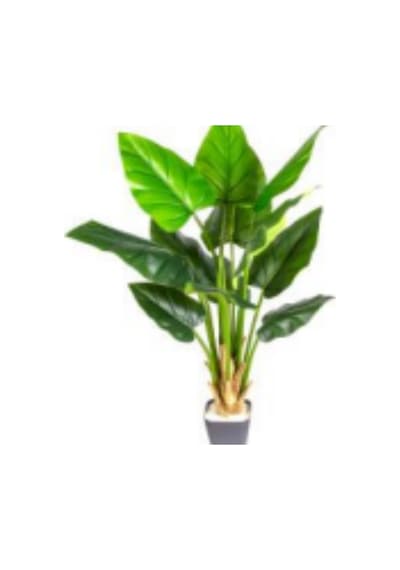 Yapay Alocasia - Fil Kulağı Rainbow Gökkuşağı 16 Yaprak 230 Cm. Çok Renkli