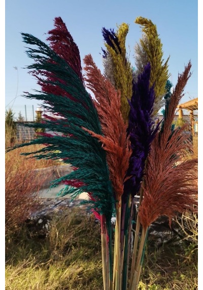 Alyones 15'li Dekoratif Karışık 100cm Boyunda Pampas Diğer