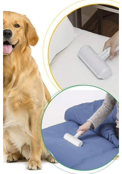 Maxi Kedi Tuvaleti Ve Evcil Hayvan Tüy Temizleyici Maxi Ve Evcil Hayvan Tüy Temizleyici