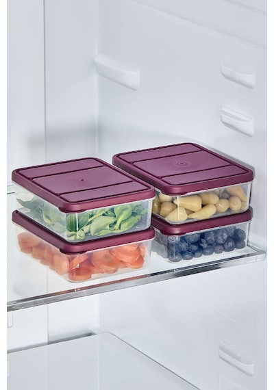 Selka Home 4 Adet 0.5 Lt. Nora Organizer Buzdolabı Buzluk Düzenleyici Saklama Kabı
