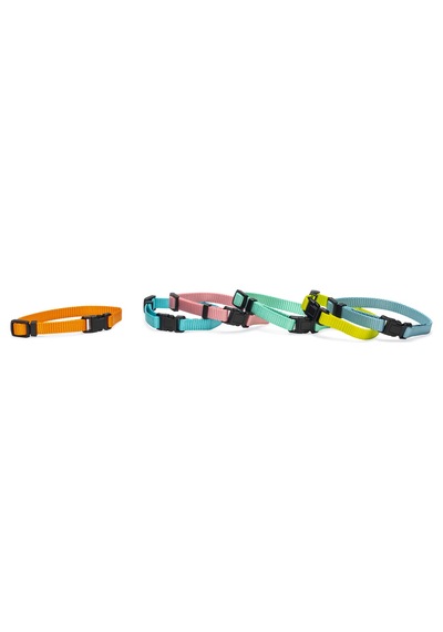 Hnrlıshp Beeztees Yavru Köpek Boyun Tasması, Çeşitli Renklerde, 17-25cm, 10mm Çok Renkli