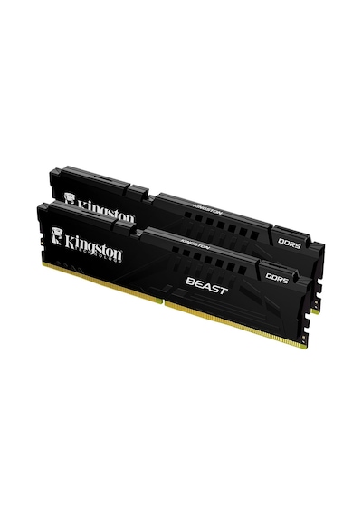 Kingston Beast Expo KF556C36BBEK2-64TR 64 GB DDR5 5600 MHz CL36 PC Ram