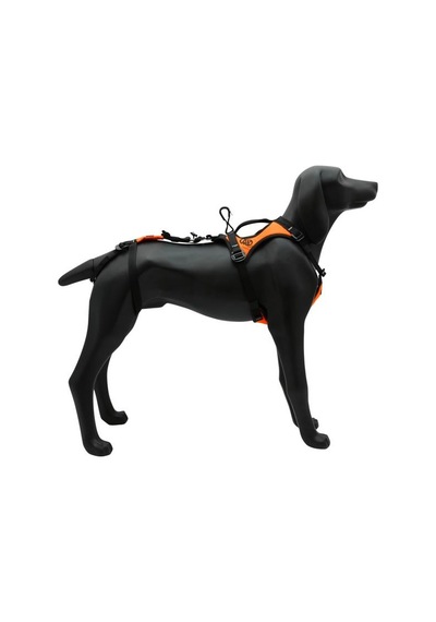 Kong Haria Arama Kurtarma Köpekleri İçin Koşum Emniyet Kemeri Gps Çantalı Versiyon Siyah