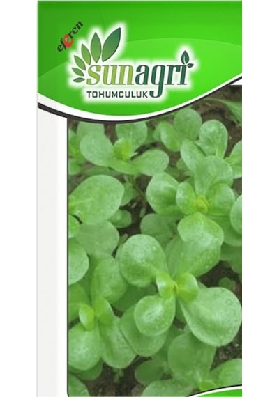 Sunagri Semiz Otu Tohumu